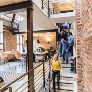Wellness in the Workplace